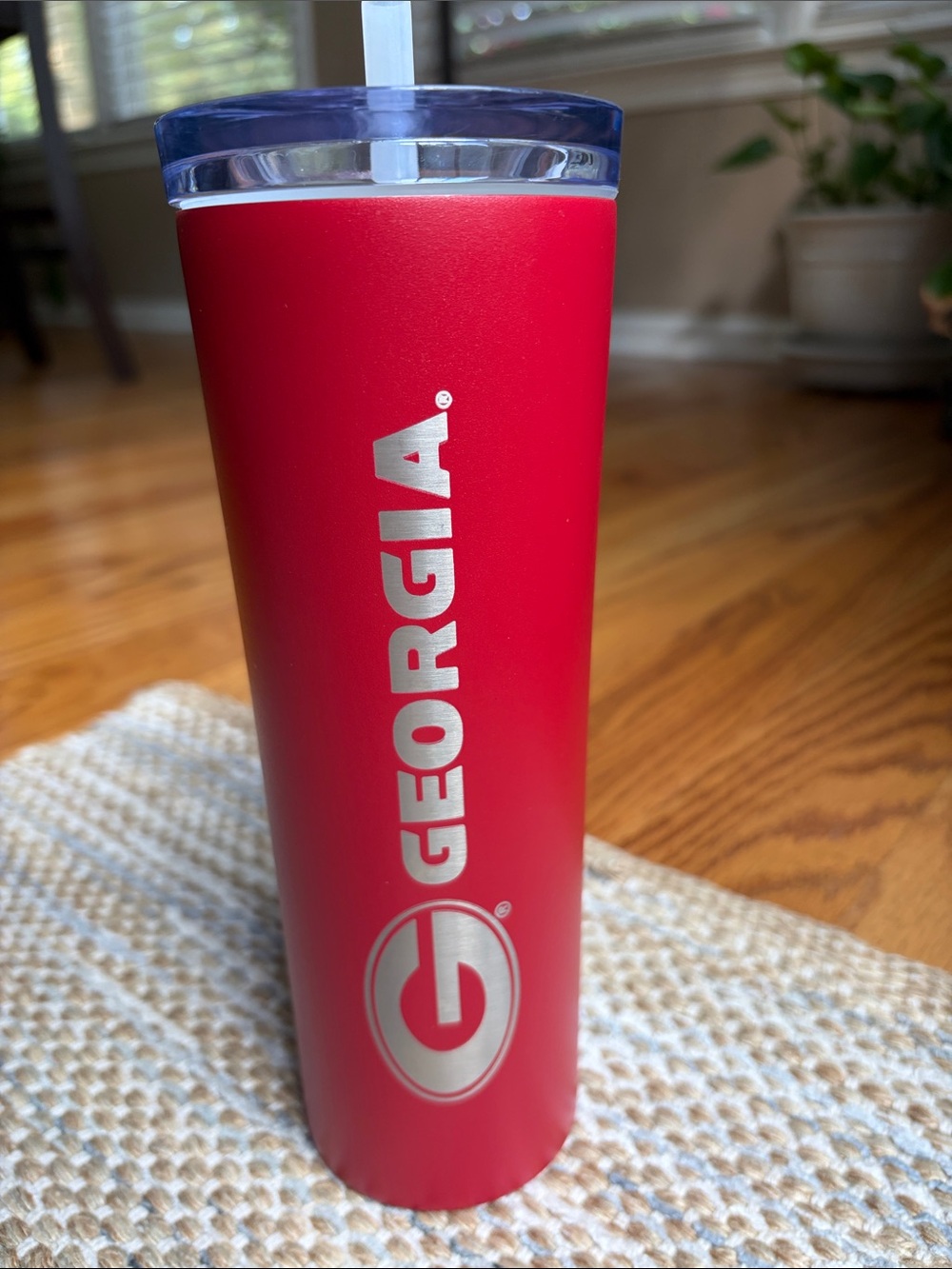 Red Stainless Travel Tumbler with Straw 18 oz
